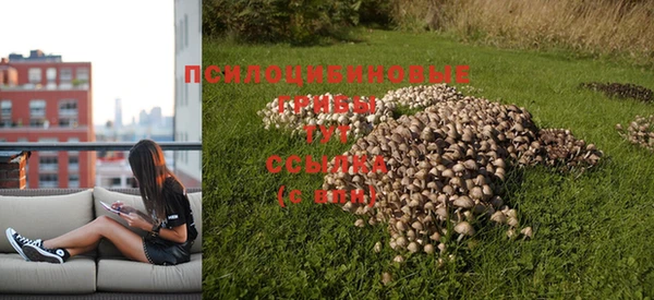 mix Арсеньев