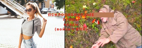 первитин Армянск