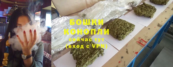 трава Магас